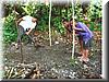 2000-01 Sailing Tonga 32.jpg