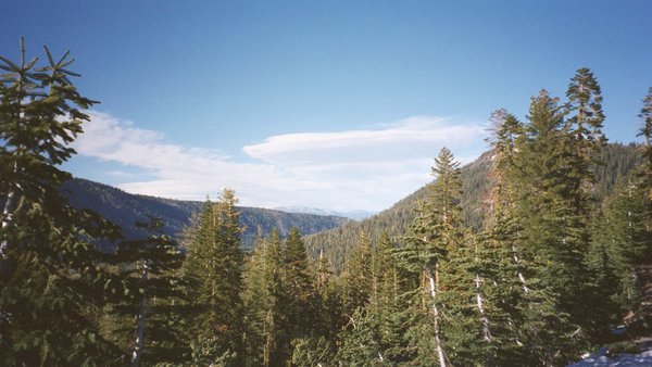 26 Tahoe forests.jpg