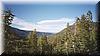26 Tahoe forests.jpg