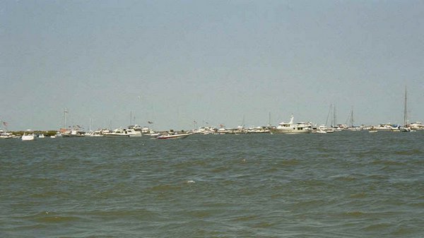 01 Wild assembly of boats.jpg