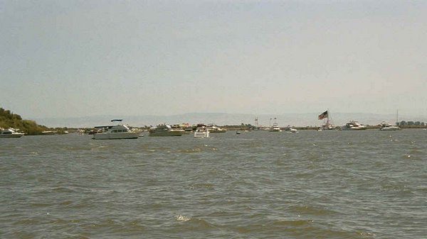 02 Look into a full slough.jpg