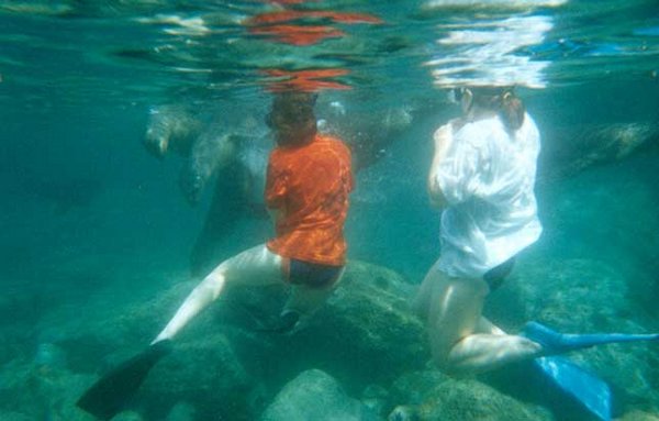 37 Marne and Uli with Sealions.jpg