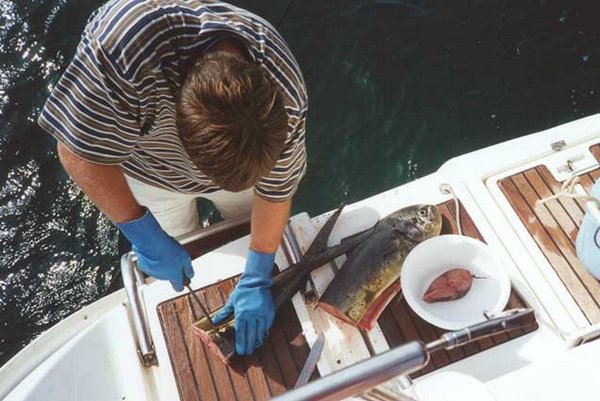 58 Preparing Ceviche and Dorado steaks.jpg