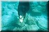 36 Another sealion.jpg