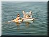 DSC01687.jpg