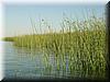 DSC01701.jpg