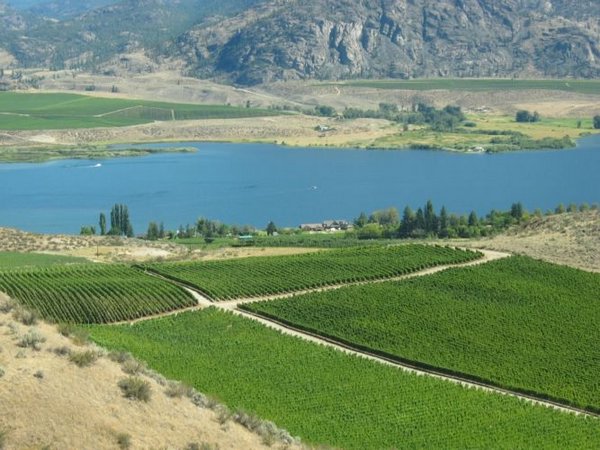 2005-08-13c1 Lake Osoyoos.JPG