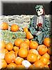 2005-10-09b Safeway Stop.jpg