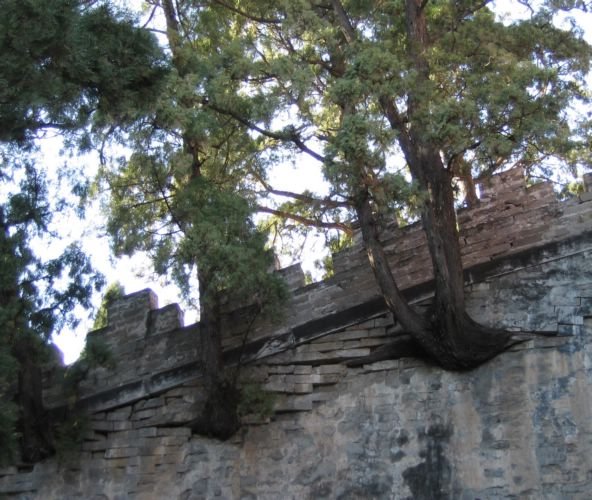 2005-11-13v Ming Tomb 1.JPG