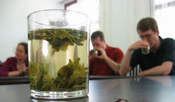 2006-04-07v Taste.JPG
