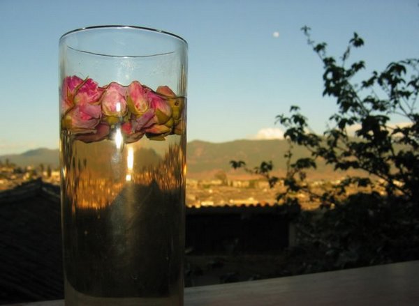 2006-04-11v Rose Tea.JPG