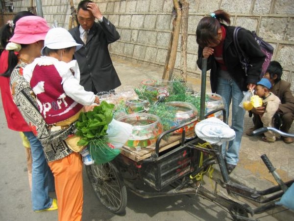 2006-04-14c Goldfish Vendor.JPG