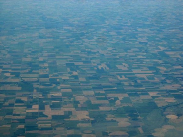 2006-06-17f Fields.JPG