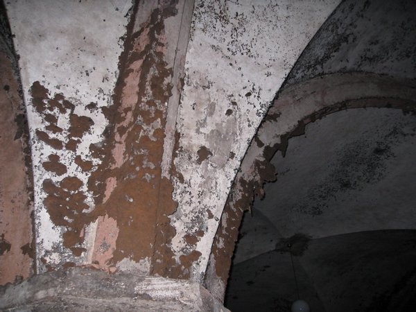 IMG_3747.JPG