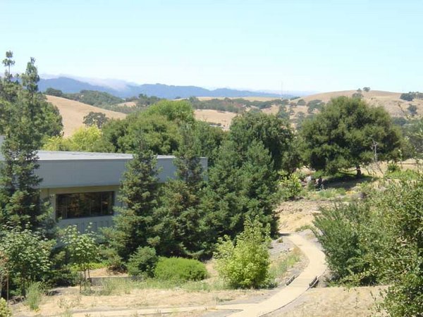 2001-07-28-2 SAP Labs - View of our campus with fog in background.jpg