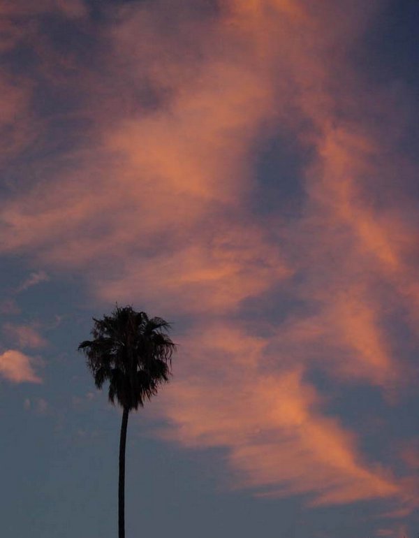 2001-08-20pm Palo Alto Sunset 1.jpg