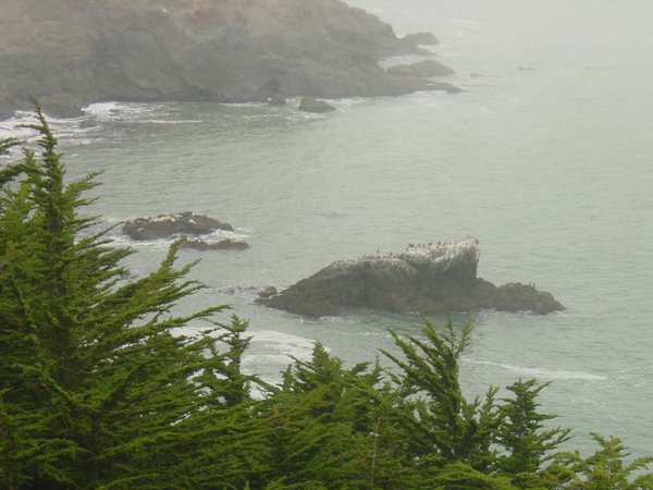 2001-09-22d The seal rock at left.jpg