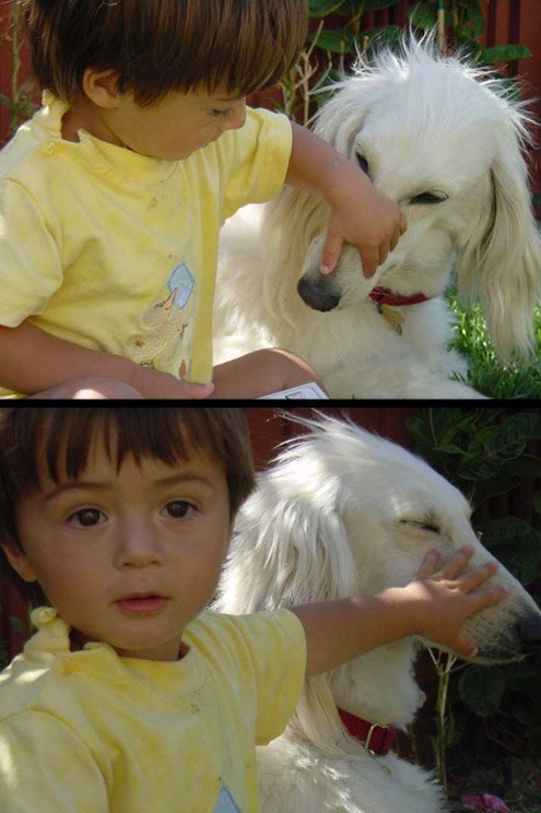 2001-10-16 Luke and the dog.jpg