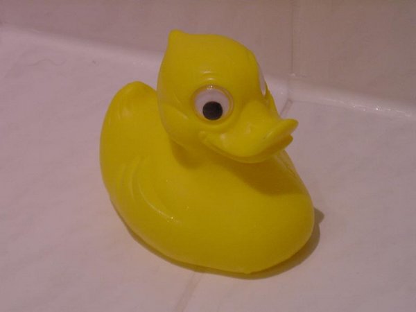 2001-11-20 Rubber Ducky.jpg