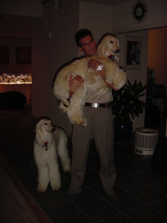 2001-12-23a The puppies.jpg