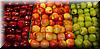 2001-08-06a Apples.jpg