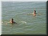 2001-09-29d Daysail - Swimming.jpg
