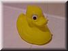 2001-11-20 Rubber Ducky.jpg