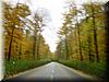 2001-11-21d Fall Impressions.jpg