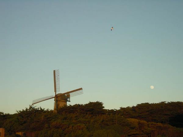 2002-01-27c Golden Gate Park.jpg