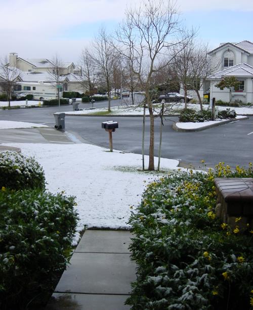 2002-01-28 Snow.jpg