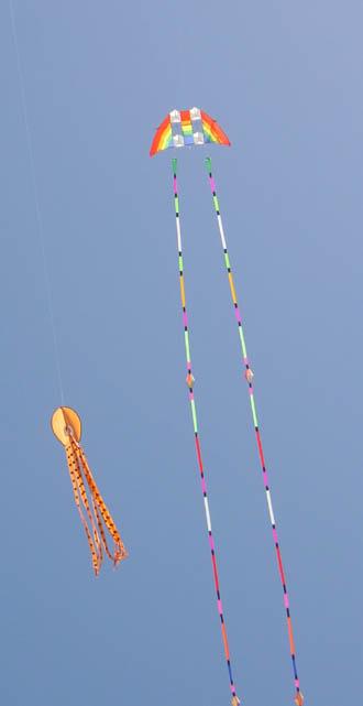 2002-04-14c More kites.jpg