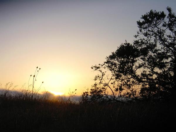 2002-05-01d Sunset 2.jpg