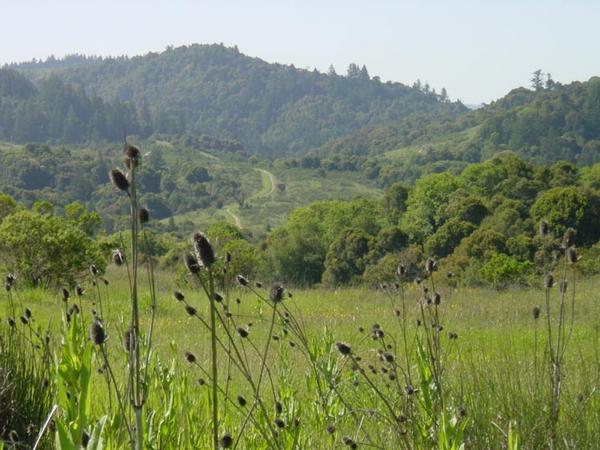 2002-05-05a Scenery.jpg