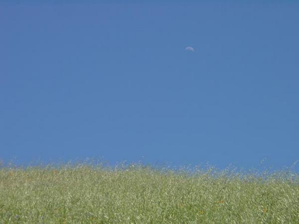 2002-05-18d Moon above a grassy ridge.jpg