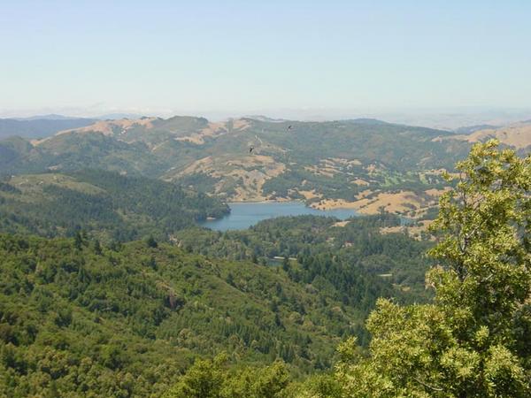 2002-06-22c The backside of Mt Tam.jpg