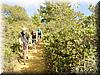 2002-01-19d Single trail.jpg