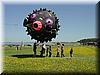 2002-04-14a Blowfish.jpg