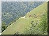 2002-04-27a In the middle of Monte Bello OSP.jpg