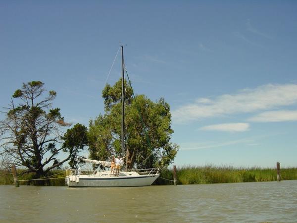 2002-07-05b Our Delta 2002 target - Snag Island.jpg