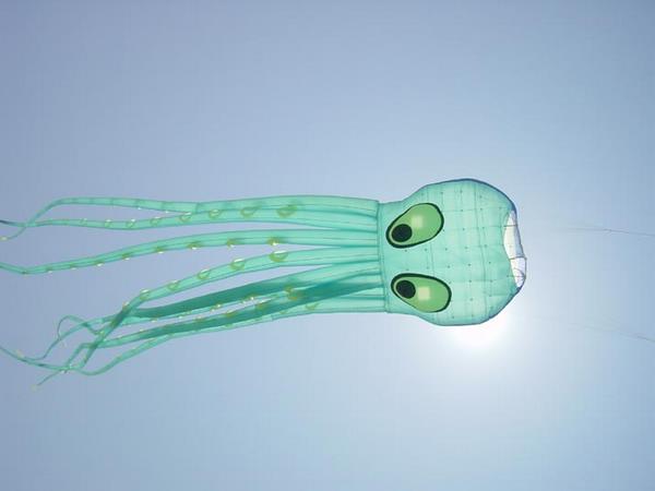 2002-07-13d Squid against the sun.jpg