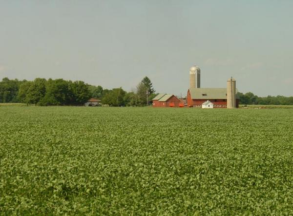 2002-07-28a Typical Wisconsin farm.jpg