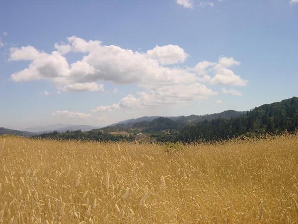 2002-09-07a Montebello landscape.jpg