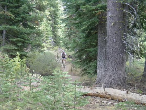 2002-09-14f The great single track along Paige Meadows.JPG