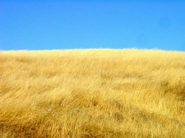 2002-10-05e Dried hills.JPG