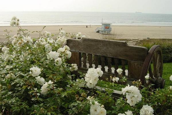 2002-10-18d Like Blankenese.JPG