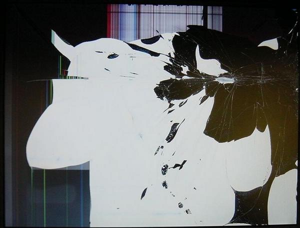 2002-10-28 Broken screen.JPG