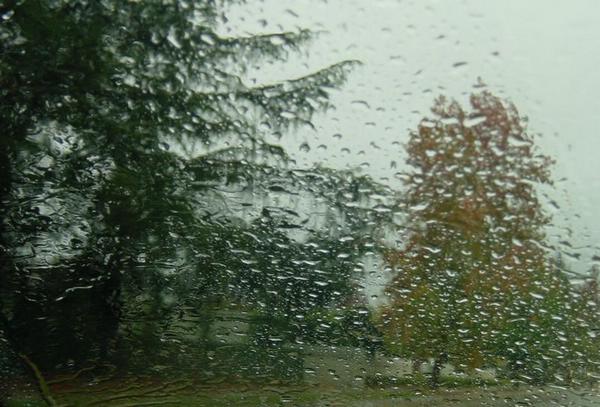 2002-11-07a Rain I.jpg
