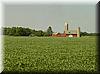 2002-07-28a Typical Wisconsin farm.jpg