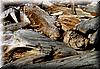 2002-08-24g Lots of washed up timber.jpg