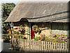 2002-09-02g Thatched roof house.jpg